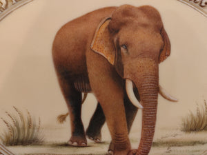 Elephant Painting