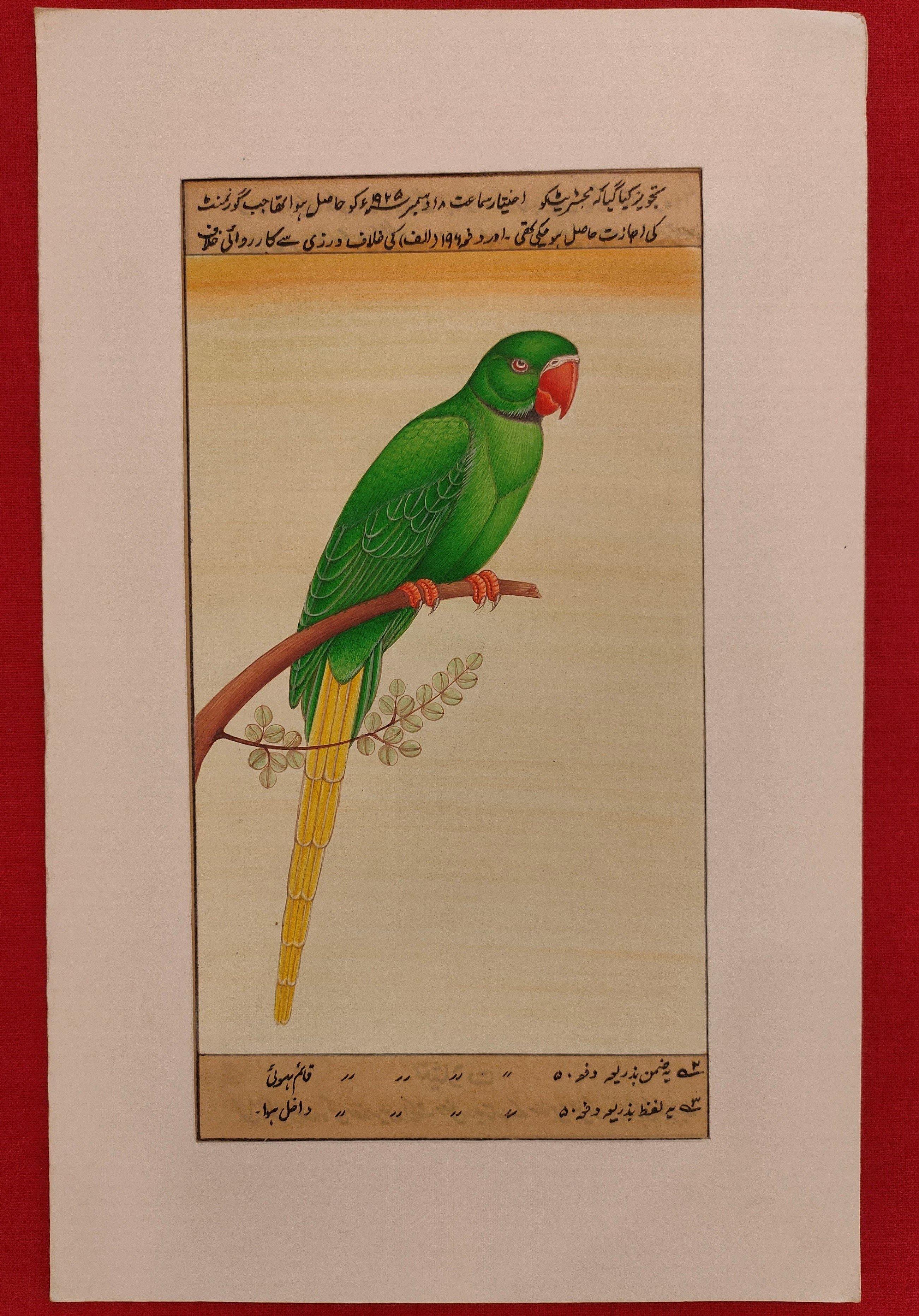 Hand Painted store Parrot Bird Birds Miniature Painting India Art on Old Paper Nature