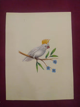 Load image into Gallery viewer, Beautiful White Baby Bird Painting on Paper - ArtUdaipur
