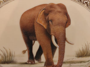 Suda Elephant Painting